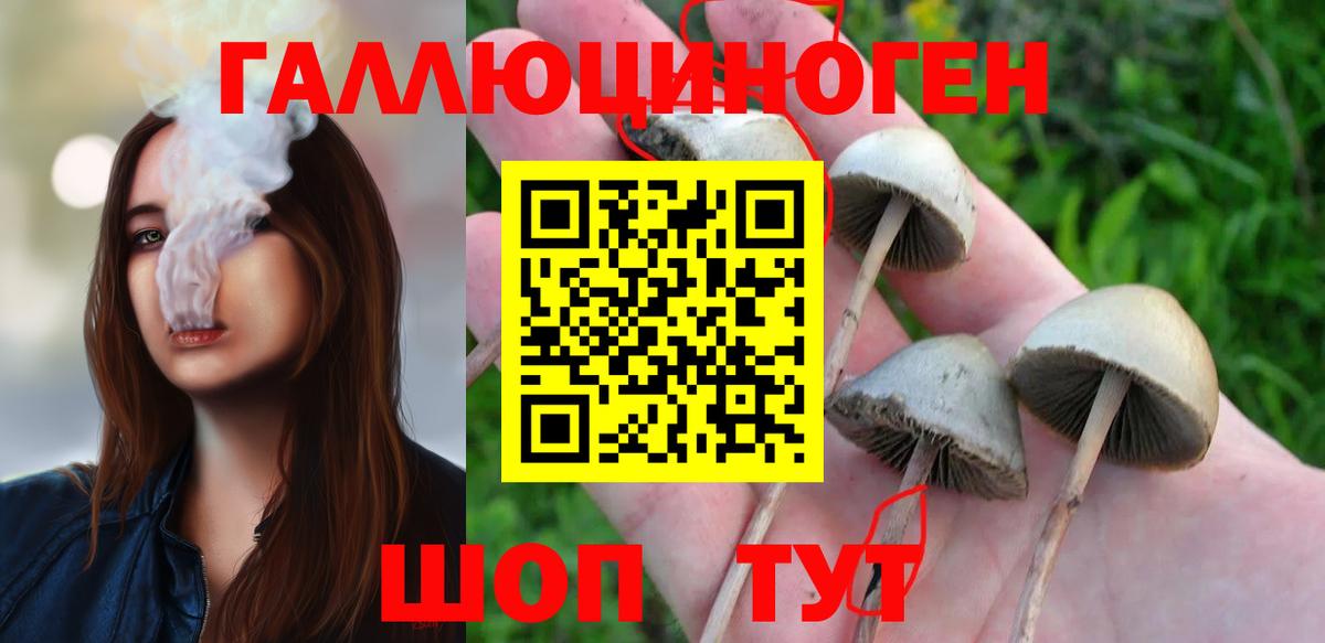 Псилоцибиновые грибы MAGIC MUSHROOMS  Вход с VPN  Кинешма  Псилоцибиновые грибы прущие грибы 